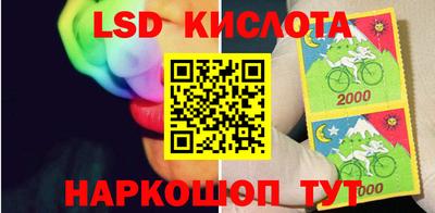 крисы Донецк