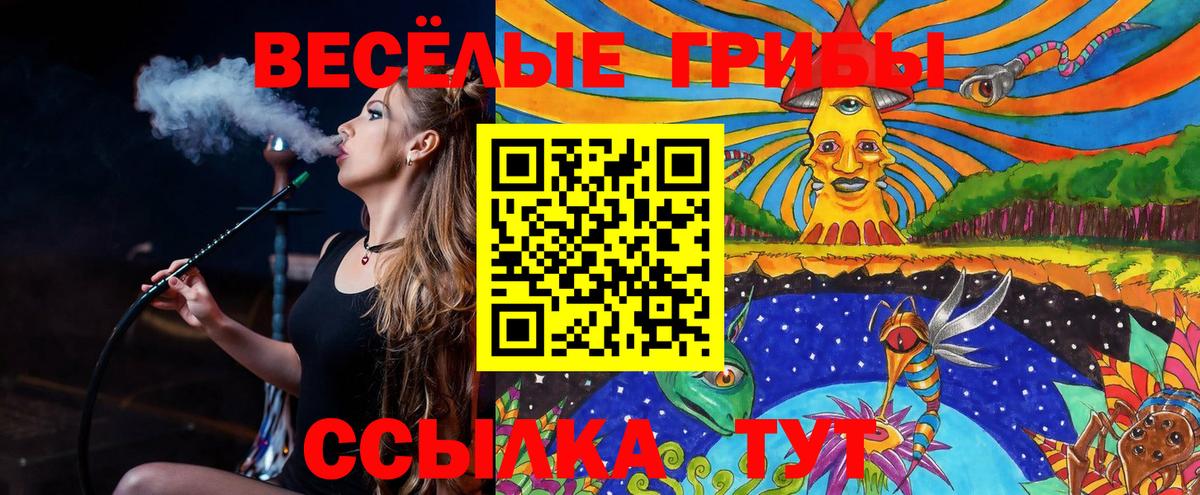Кыштым  Галлюциногенные грибы Psilocybe  Вход с VPN  Псилоцибиновые грибы ЛСД 