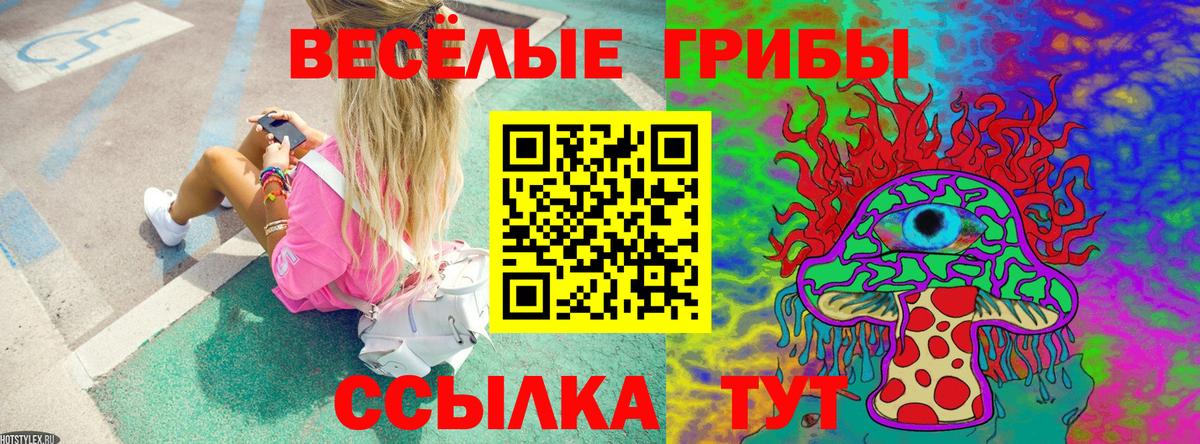 Галлюциногенные грибы Psilocybine cubensis Кыштым